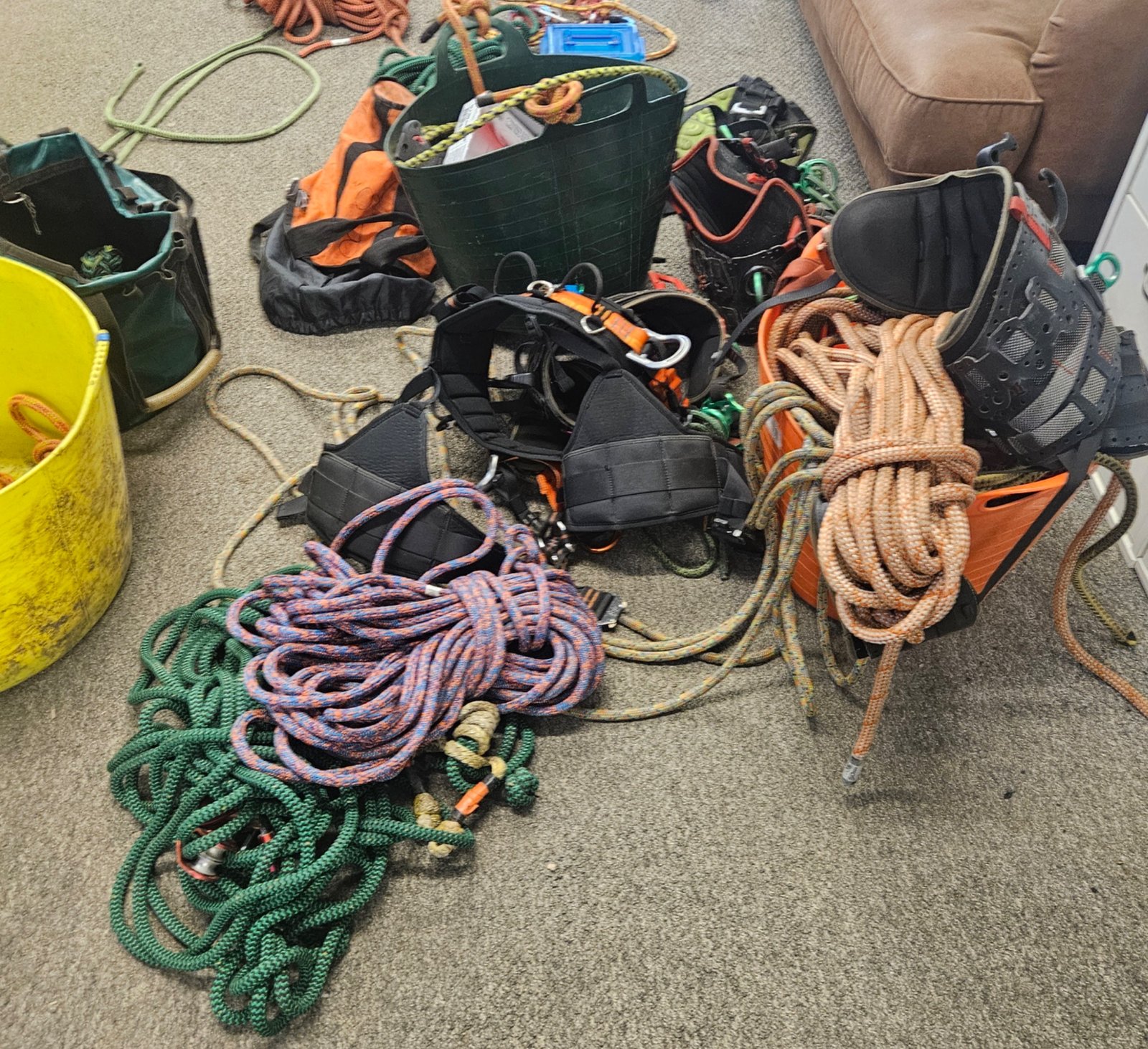 Loler inspection — photo 2 of 5